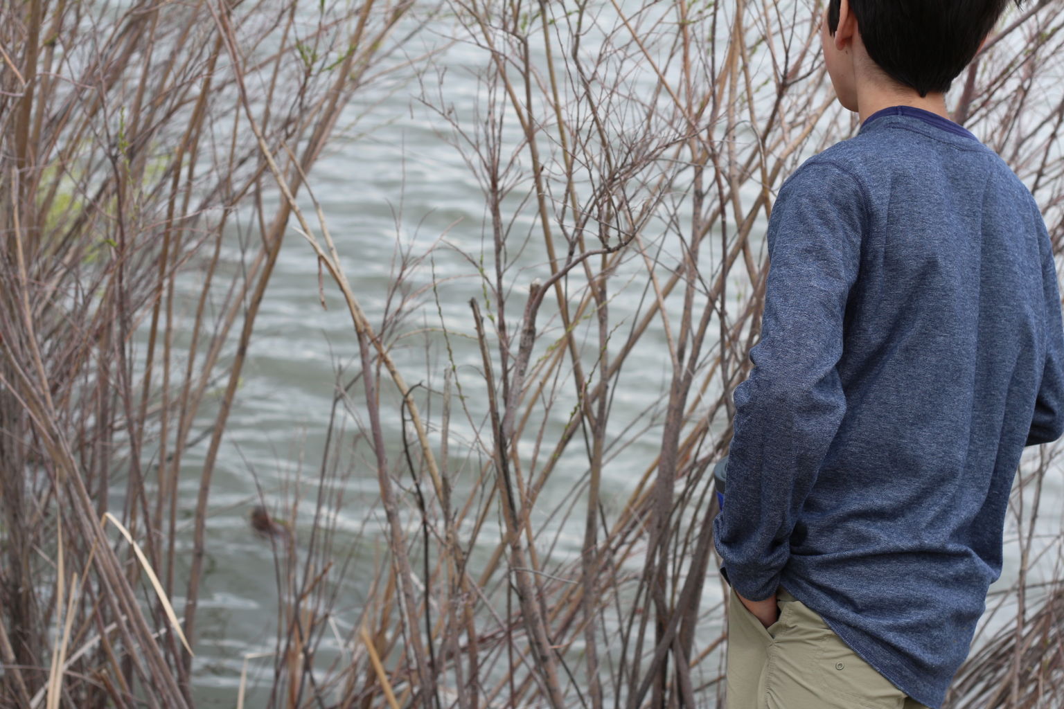 Kachline Family Photos 2015-04-18