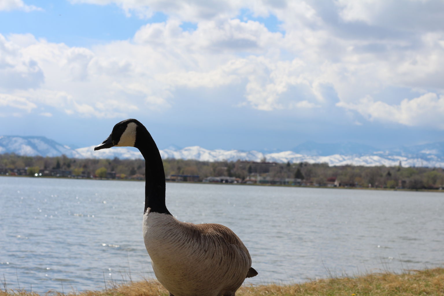 Kachline Family Photos 2015-04-18
