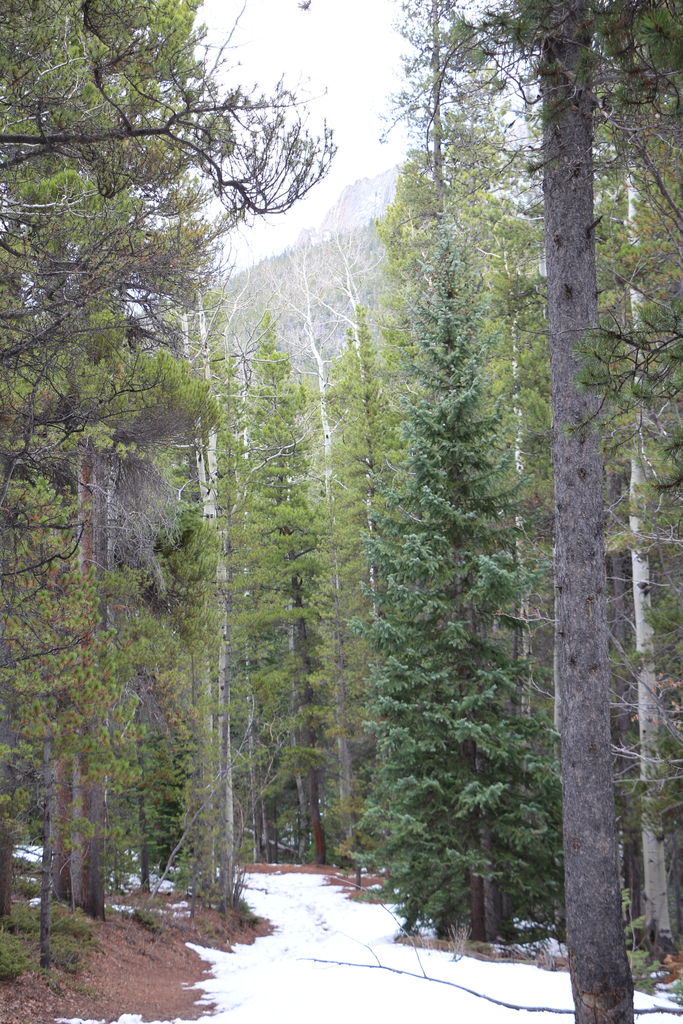 Golden Gate Canyon State Park