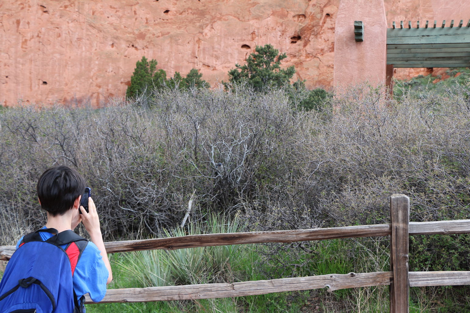 Kachline Family Photos 2015-05-31