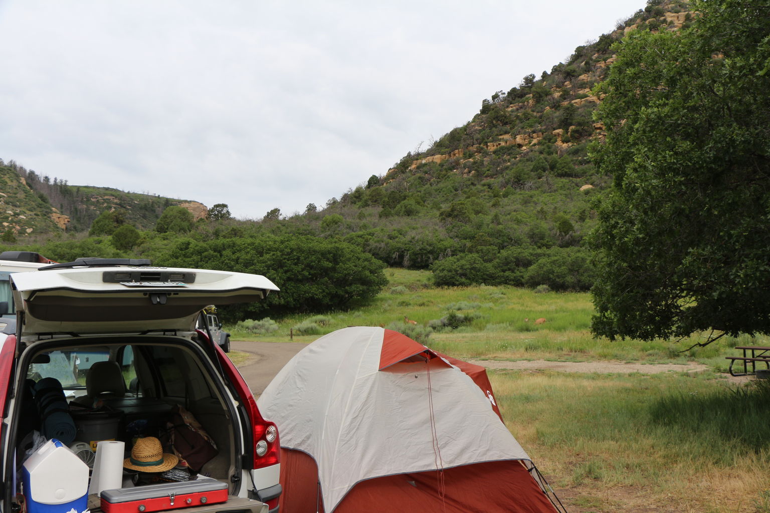 Epic Trip - Day 3 (Mesa Verde)