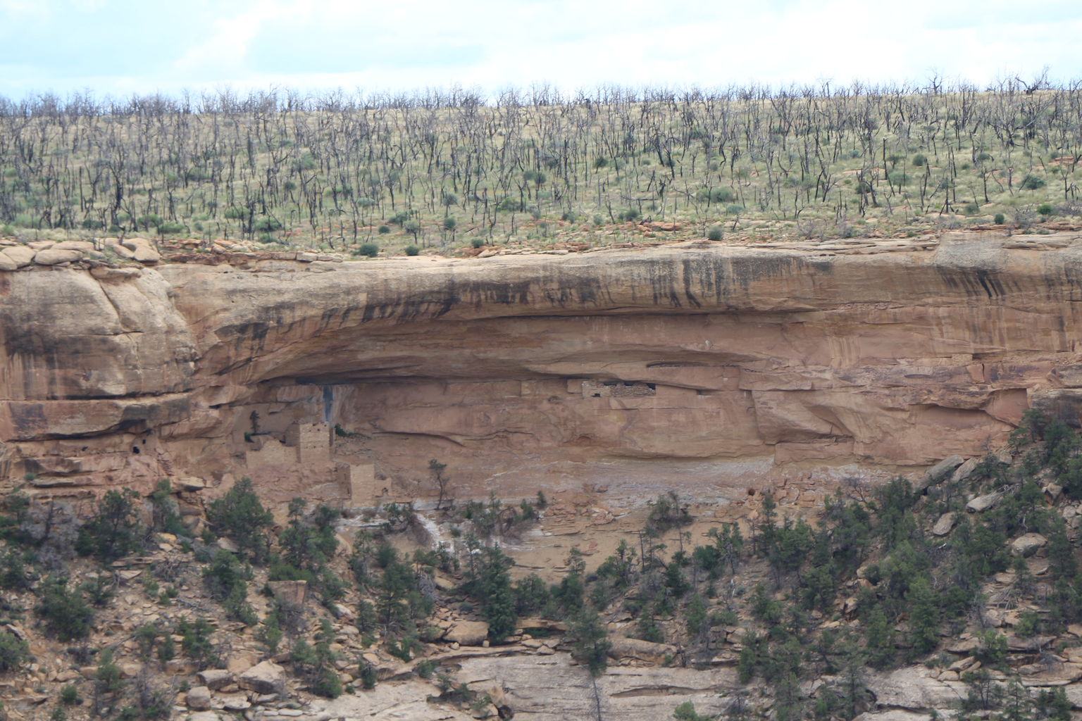 Epic Trip - Day 3 (Mesa Verde)