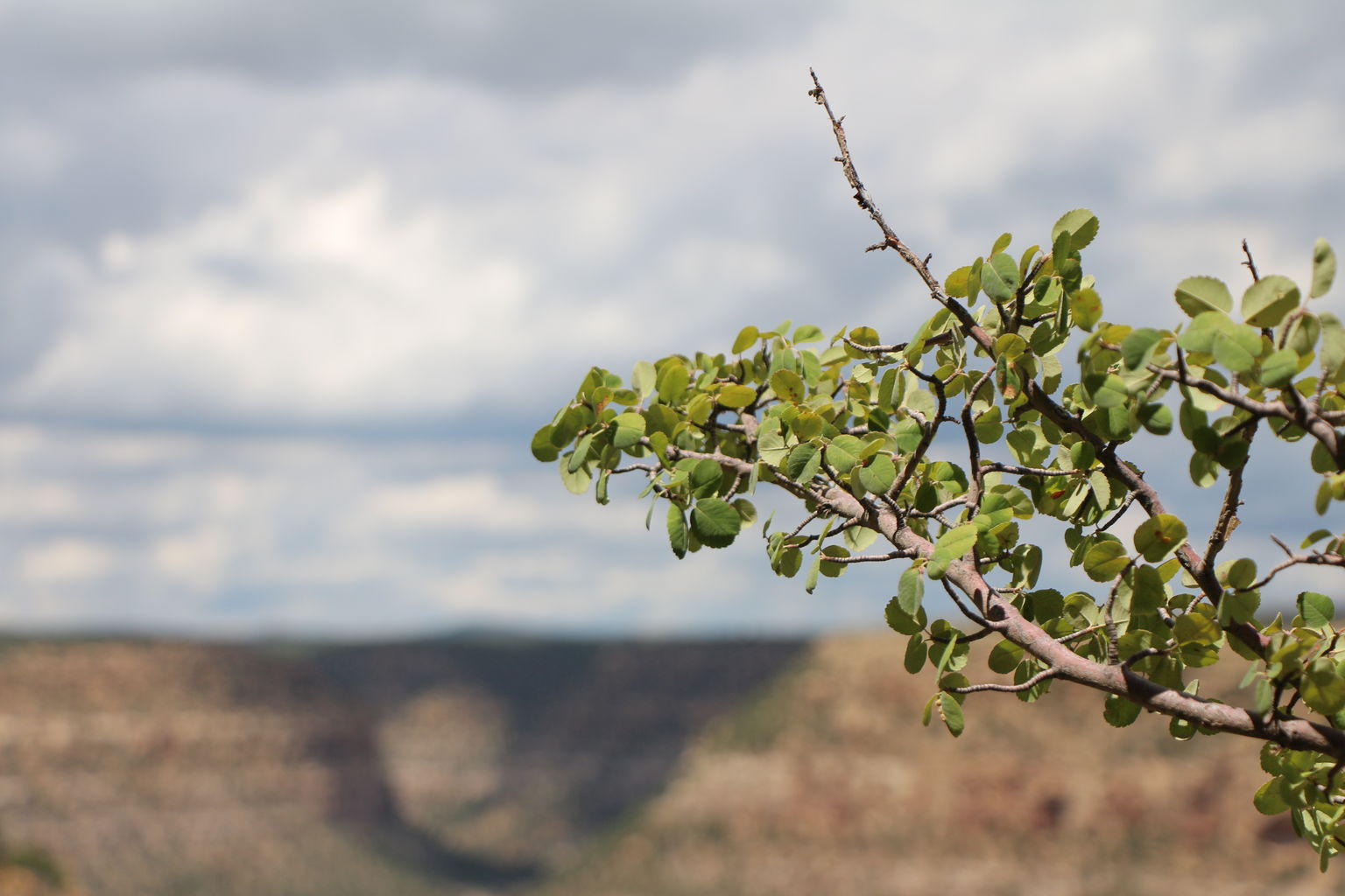 Epic Trip - Day 3 (Mesa Verde)