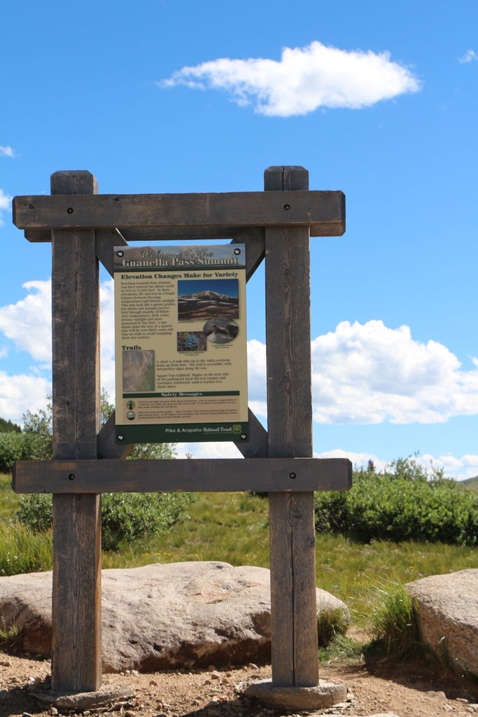 Guanella Pass - July 2015