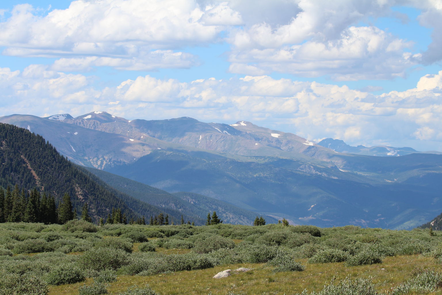 Guanella Pass - July 2015