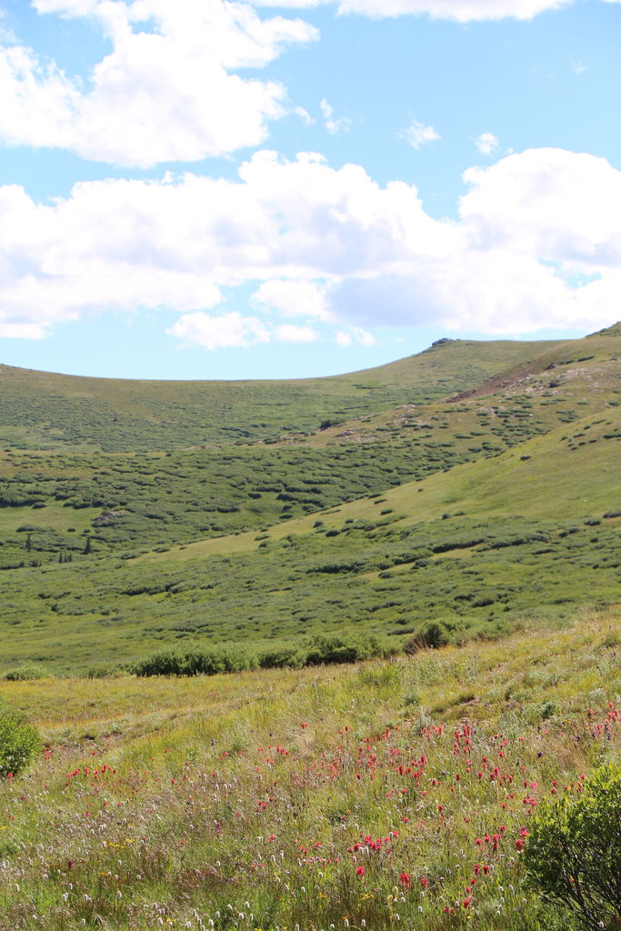 Guanella Pass - July 2015