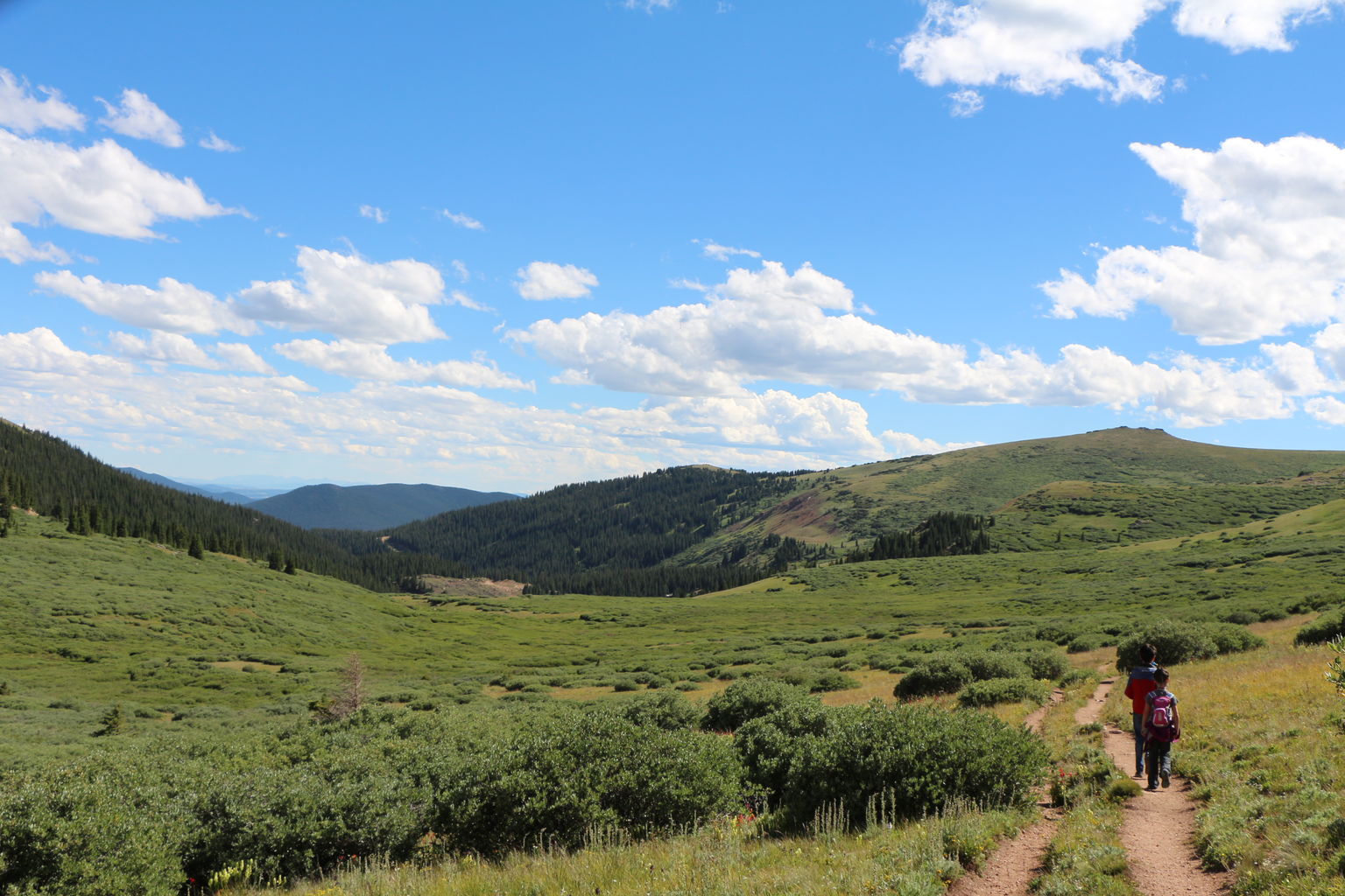 Guanella Pass - July 2015