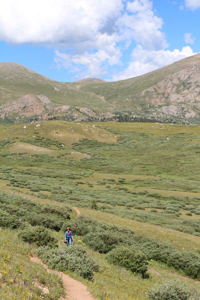 Guanella Pass - July 2015