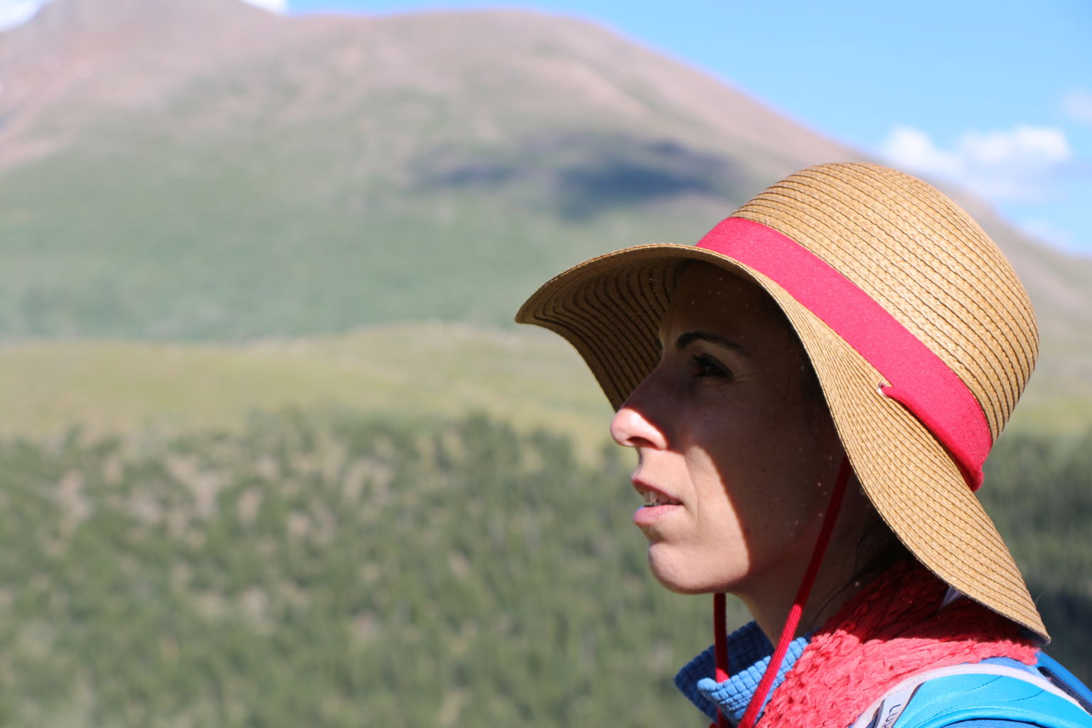 Guanella Pass - July 2015