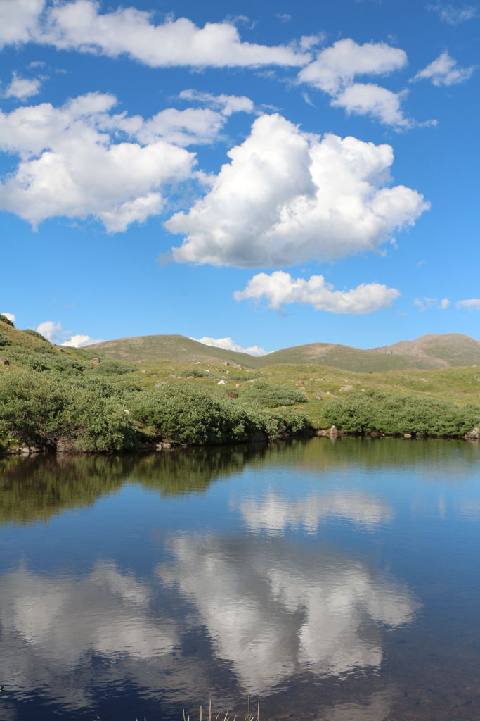Guanella Pass - July 2015