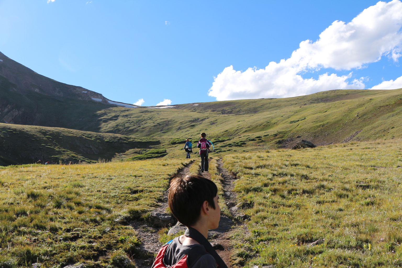 Guanella Pass - July 2015