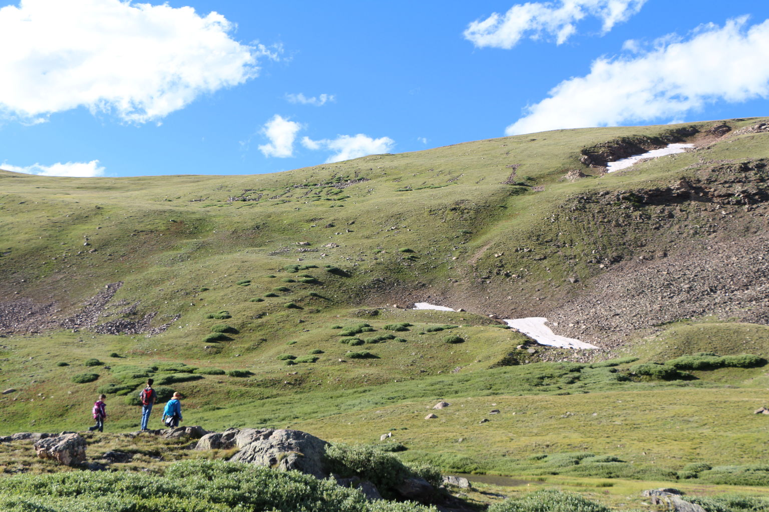 Guanella Pass - July 2015