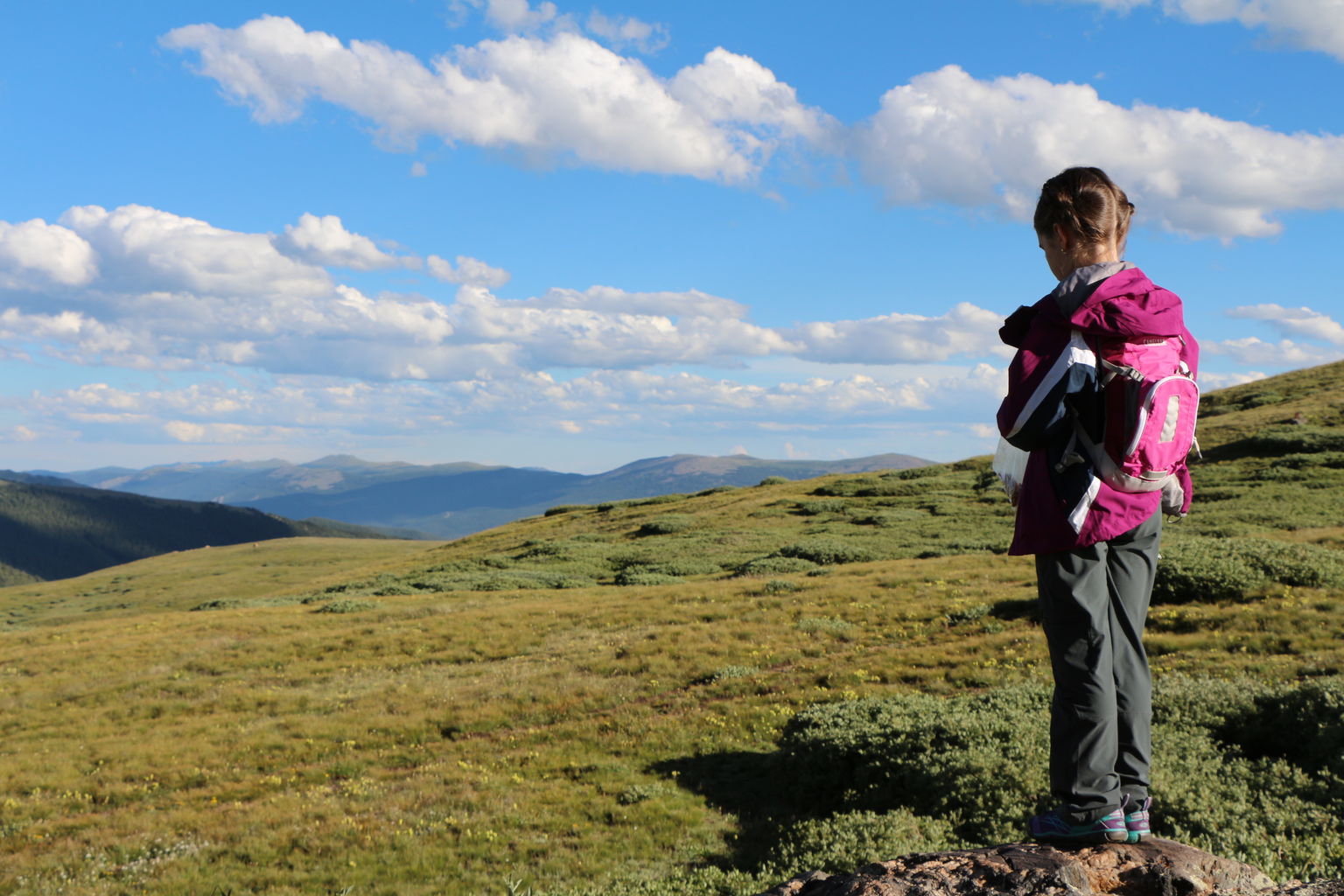 Guanella Pass - July 2015