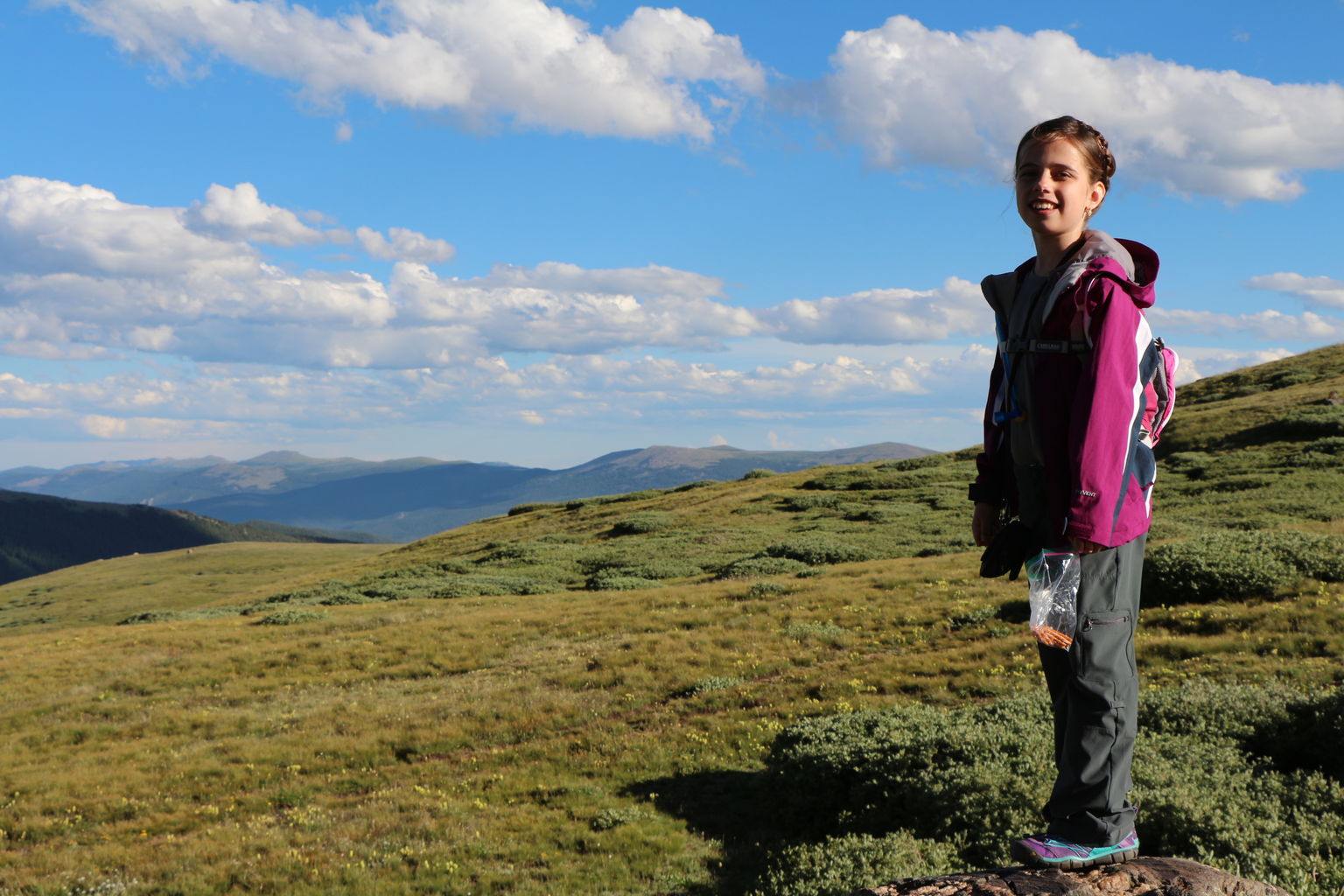Guanella Pass - July 2015