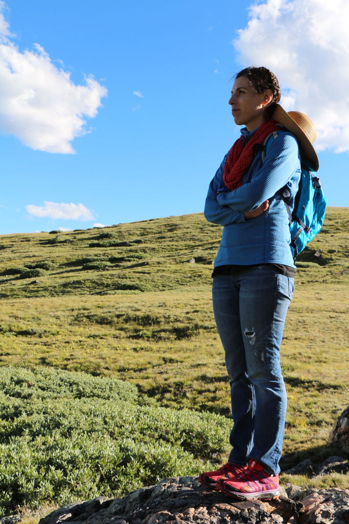 Guanella Pass - July 2015