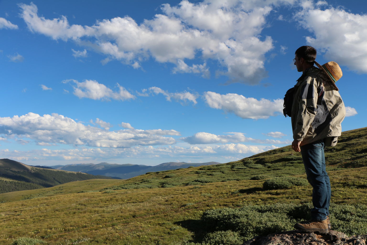 Guanella Pass - July 2015