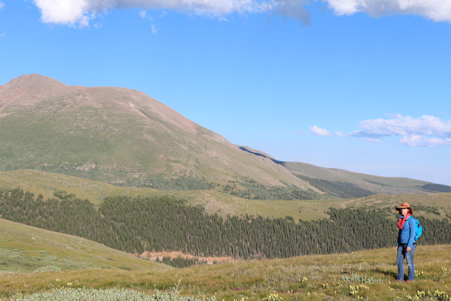 Guanella Pass - July 2015