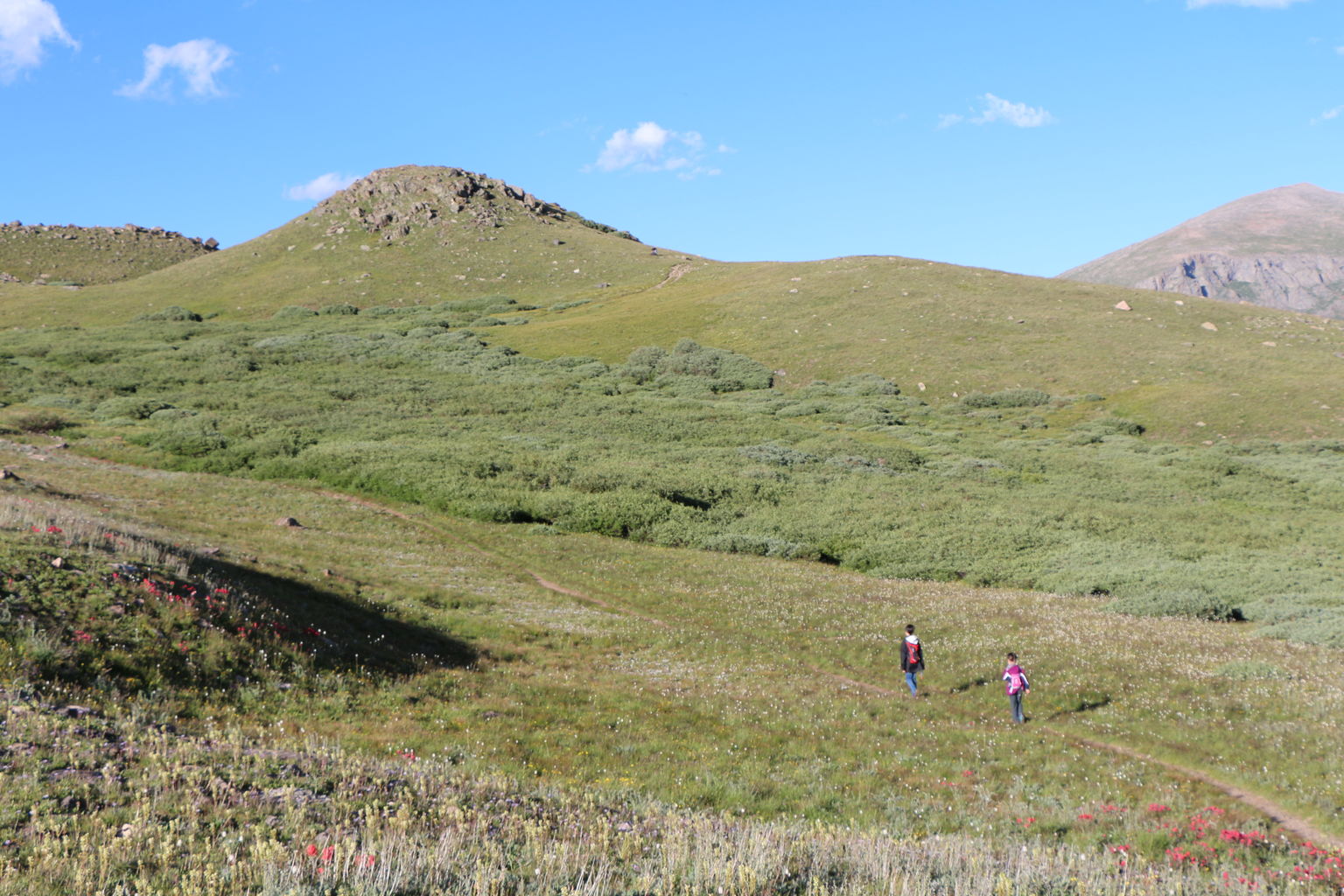 Guanella Pass - July 2015