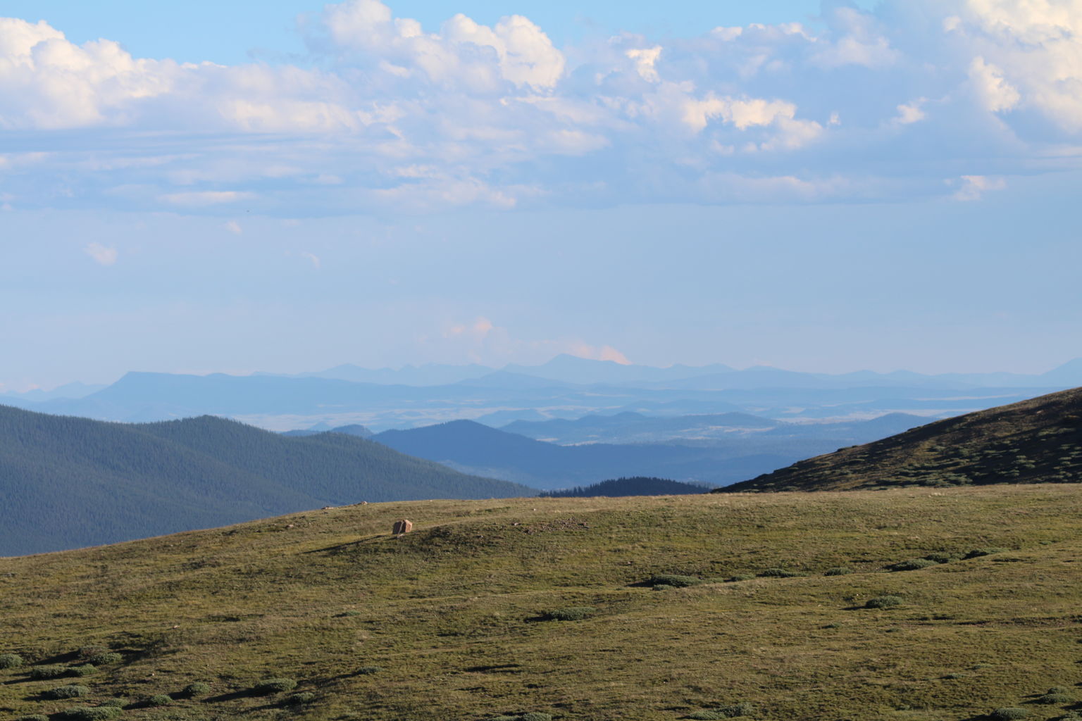 Guanella Pass - July 2015