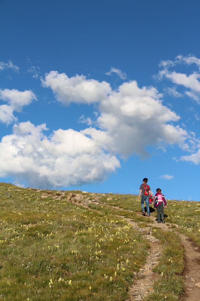Guanella Pass - July 2015