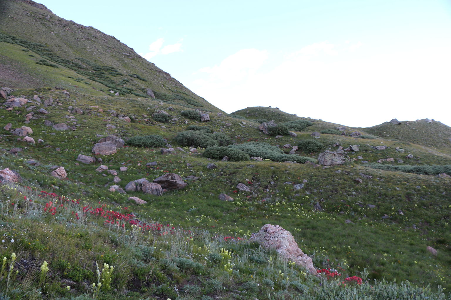 Guanella Pass - July 2015