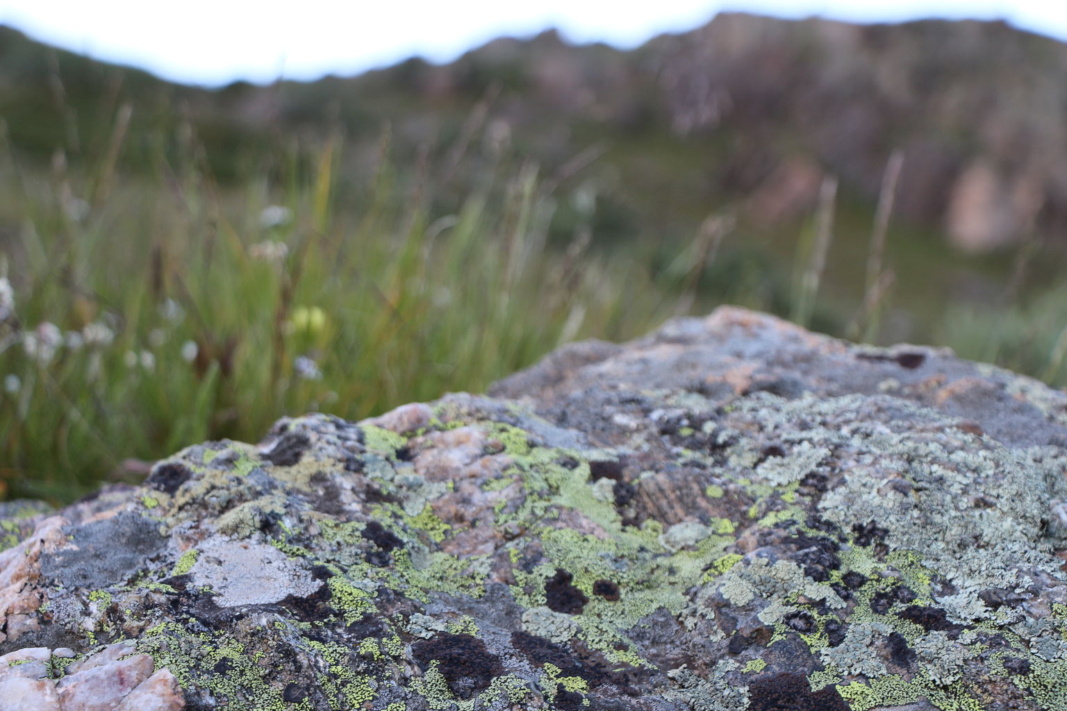 Guanella Pass - July 2015