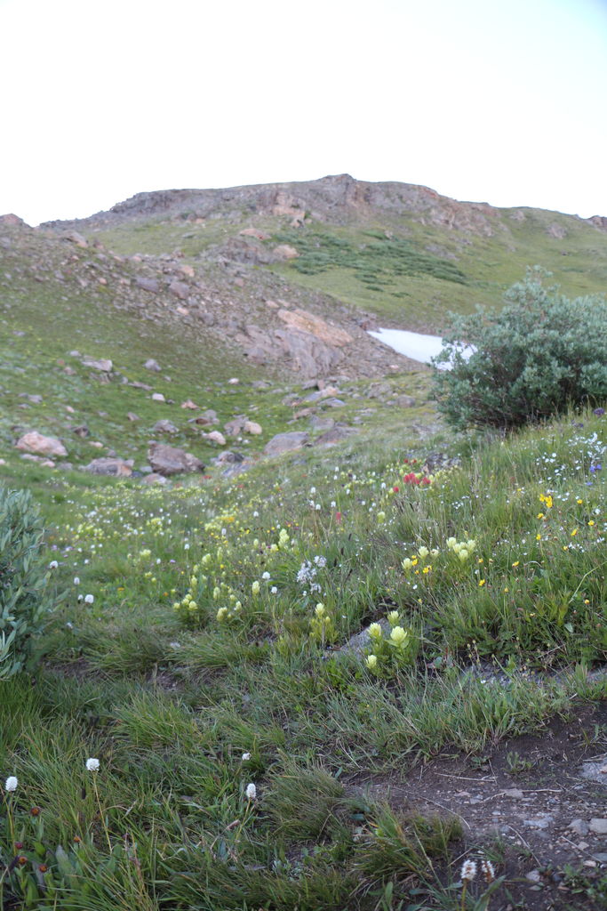 Guanella Pass - July 2015