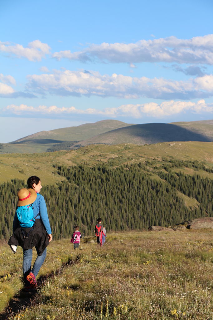 Guanella Pass - July 2015