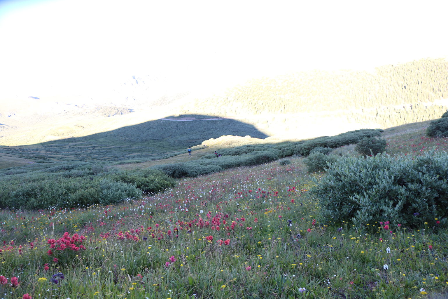 Guanella Pass - July 2015