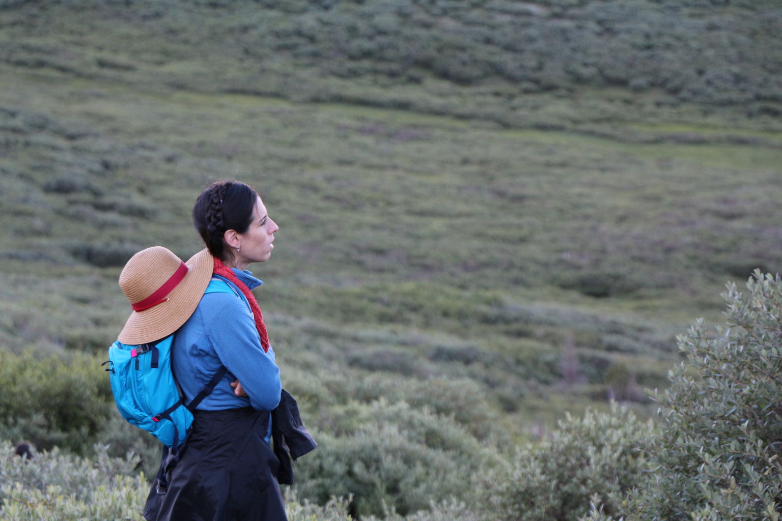 Guanella Pass - July 2015
