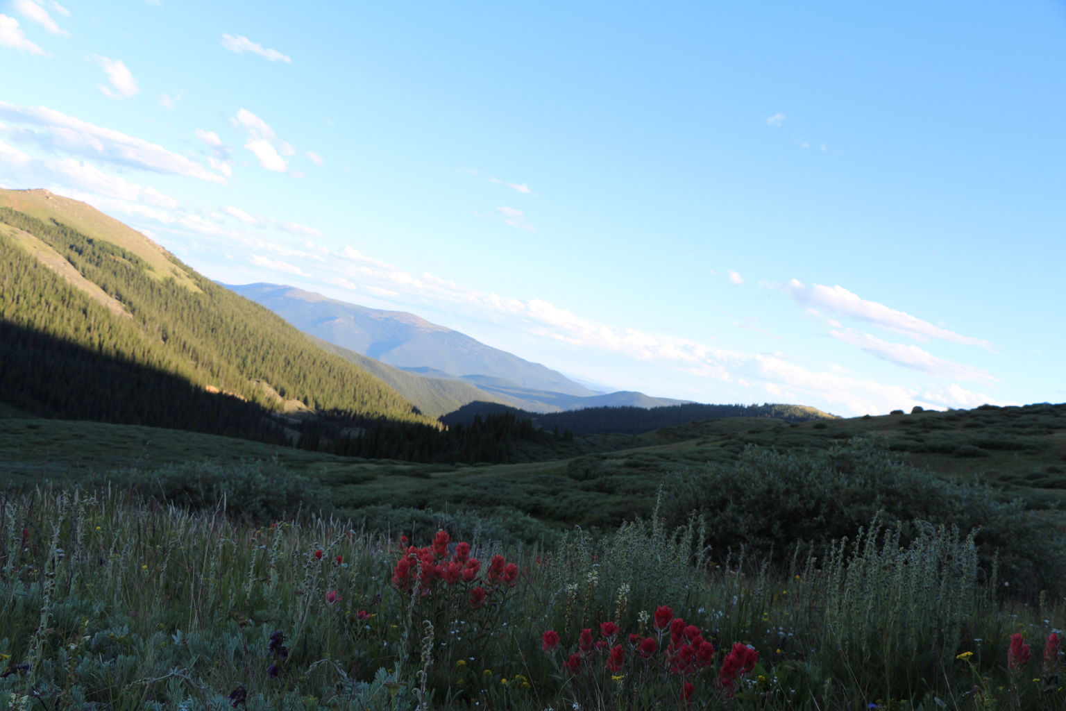 Guanella Pass - July 2015