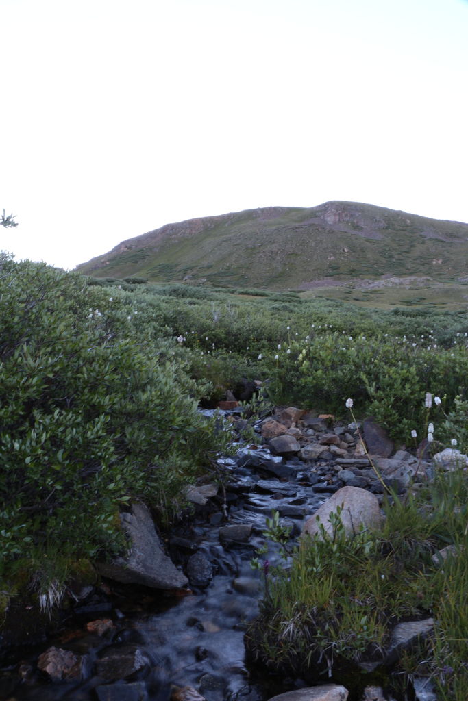 Guanella Pass - July 2015