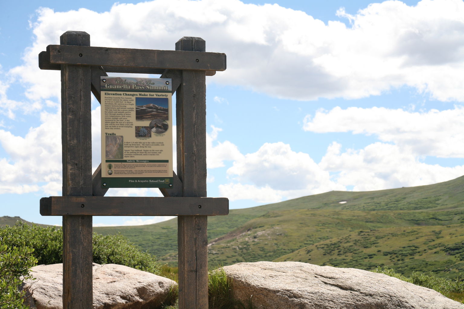 Guanella Pass - July 2015