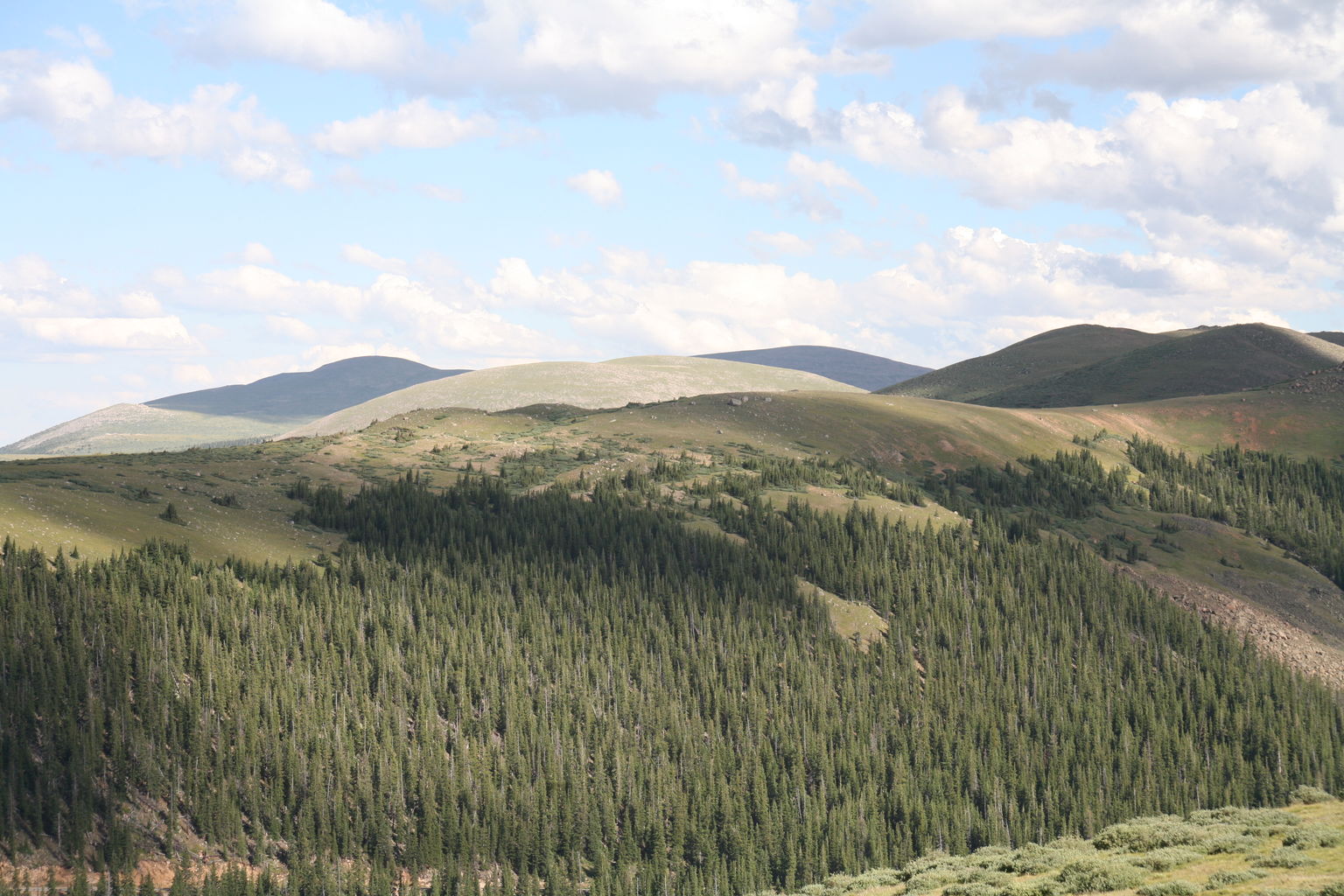 Guanella Pass - July 2015