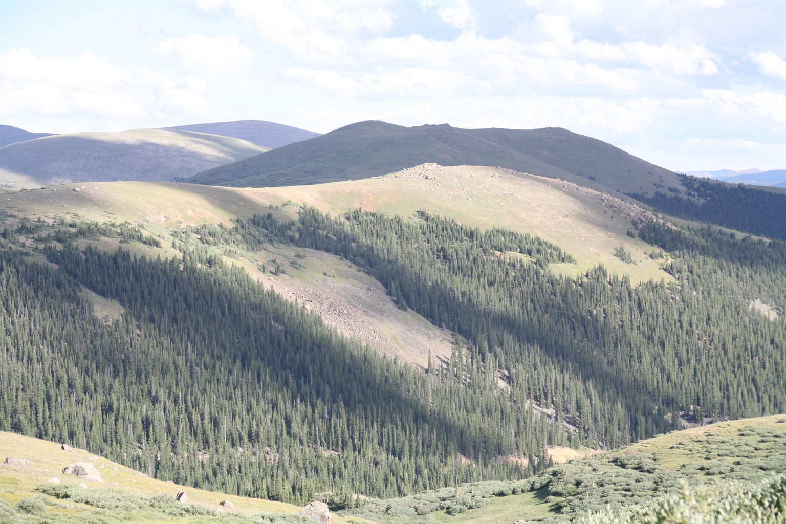 Guanella Pass - July 2015