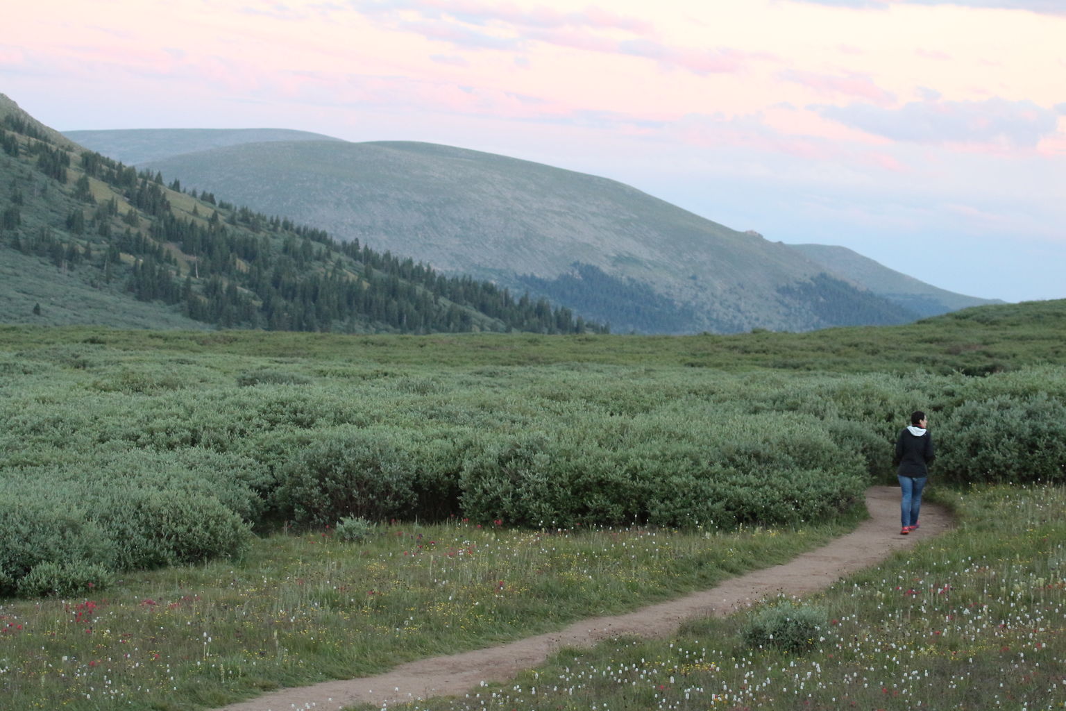 Guanella Pass - July 2015