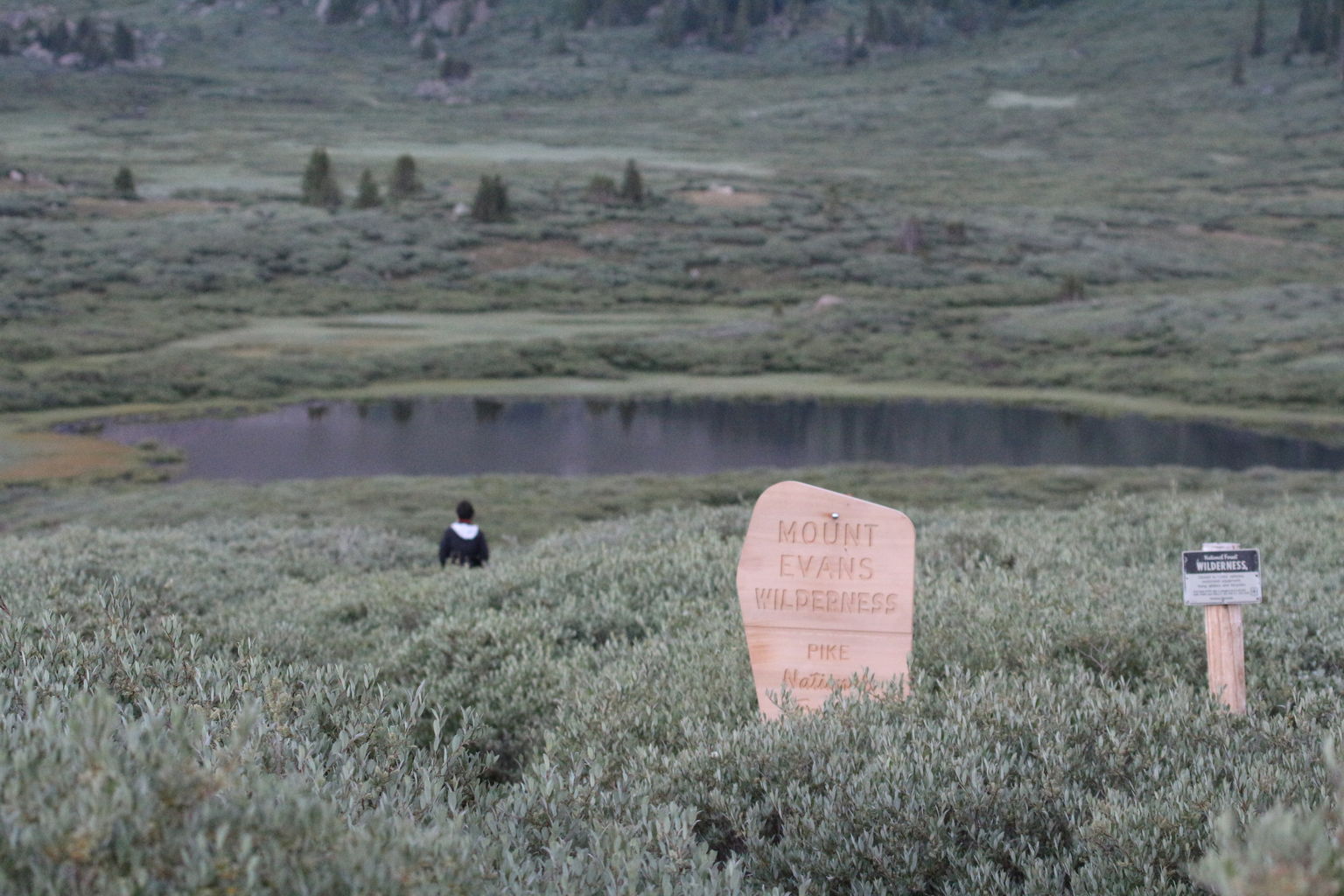 Guanella Pass - July 2015