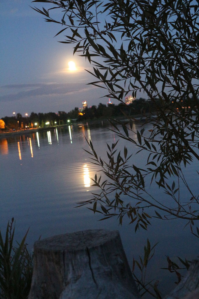 Blood Moon - 2015