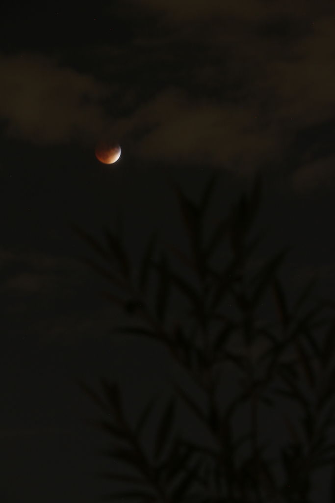 Blood Moon - 2015