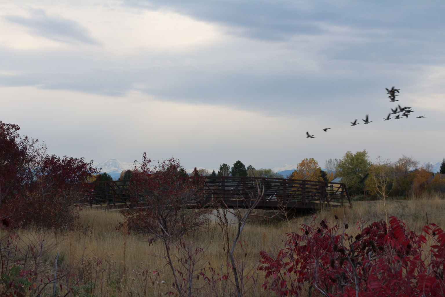 2015 Fall Portrait Shots