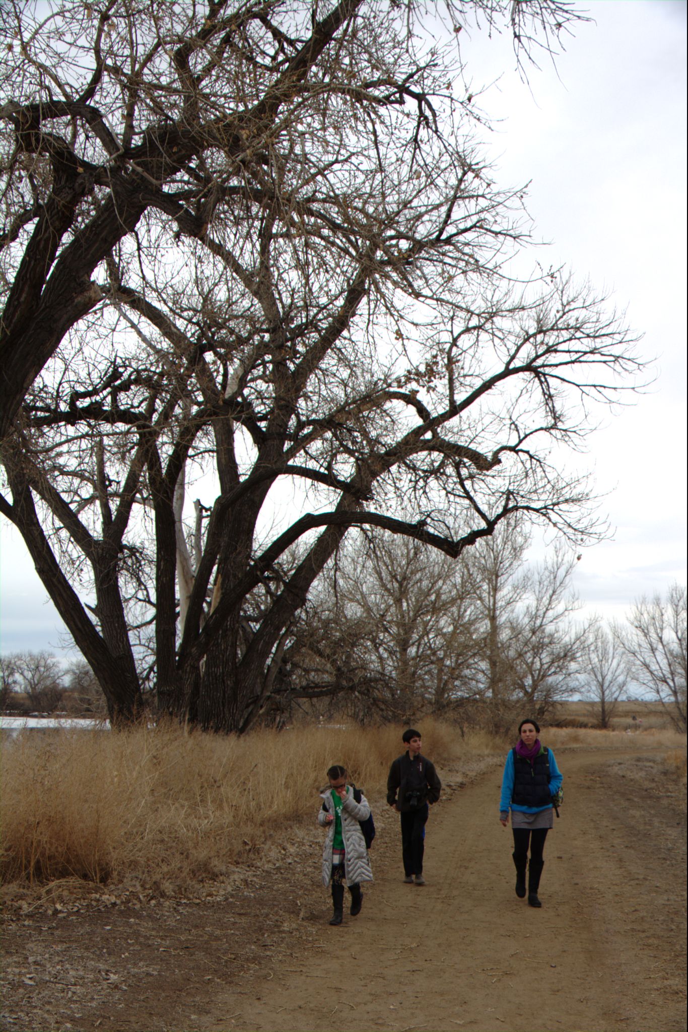 Barr Lake Nature Center