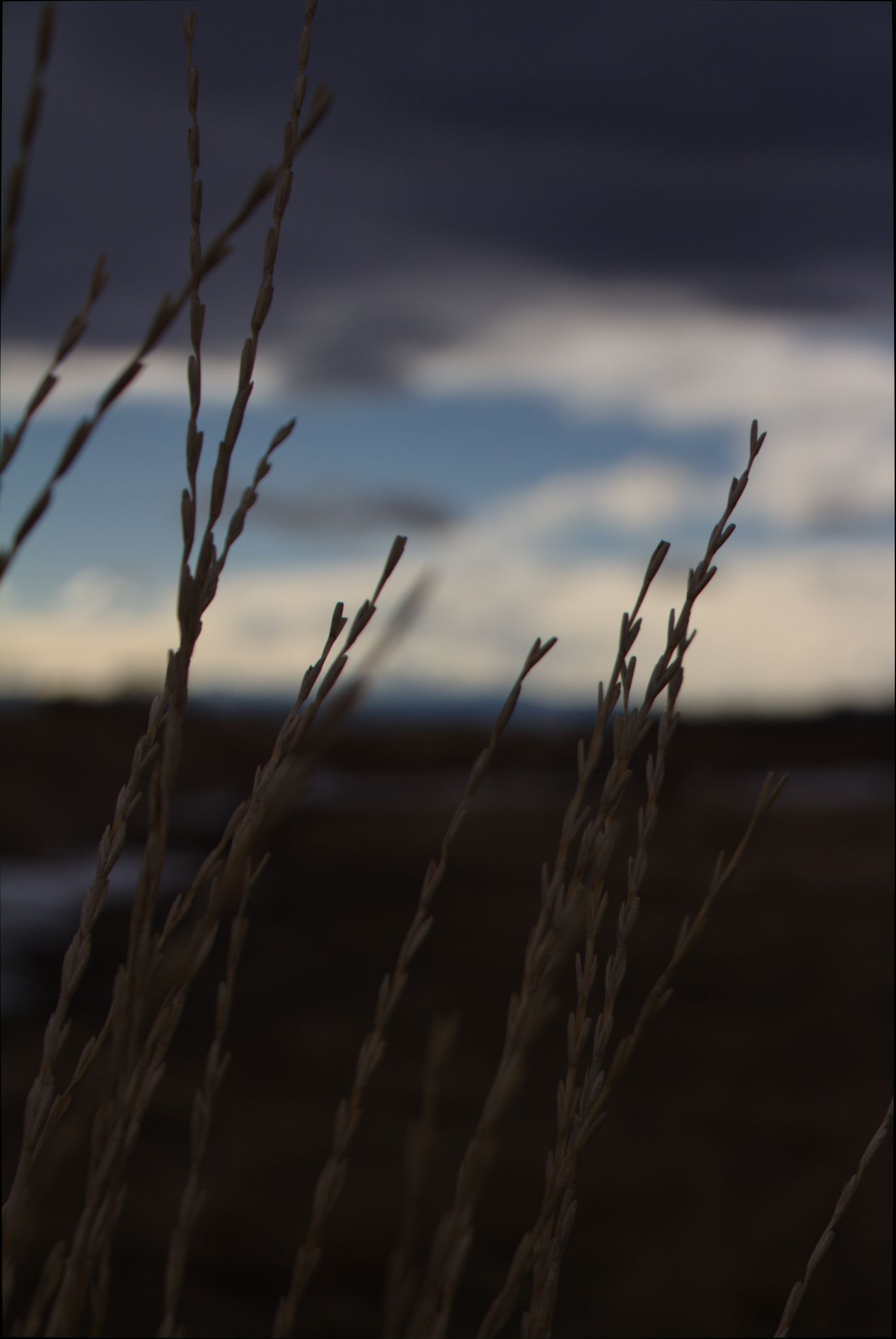 Barr Lake Nature Center