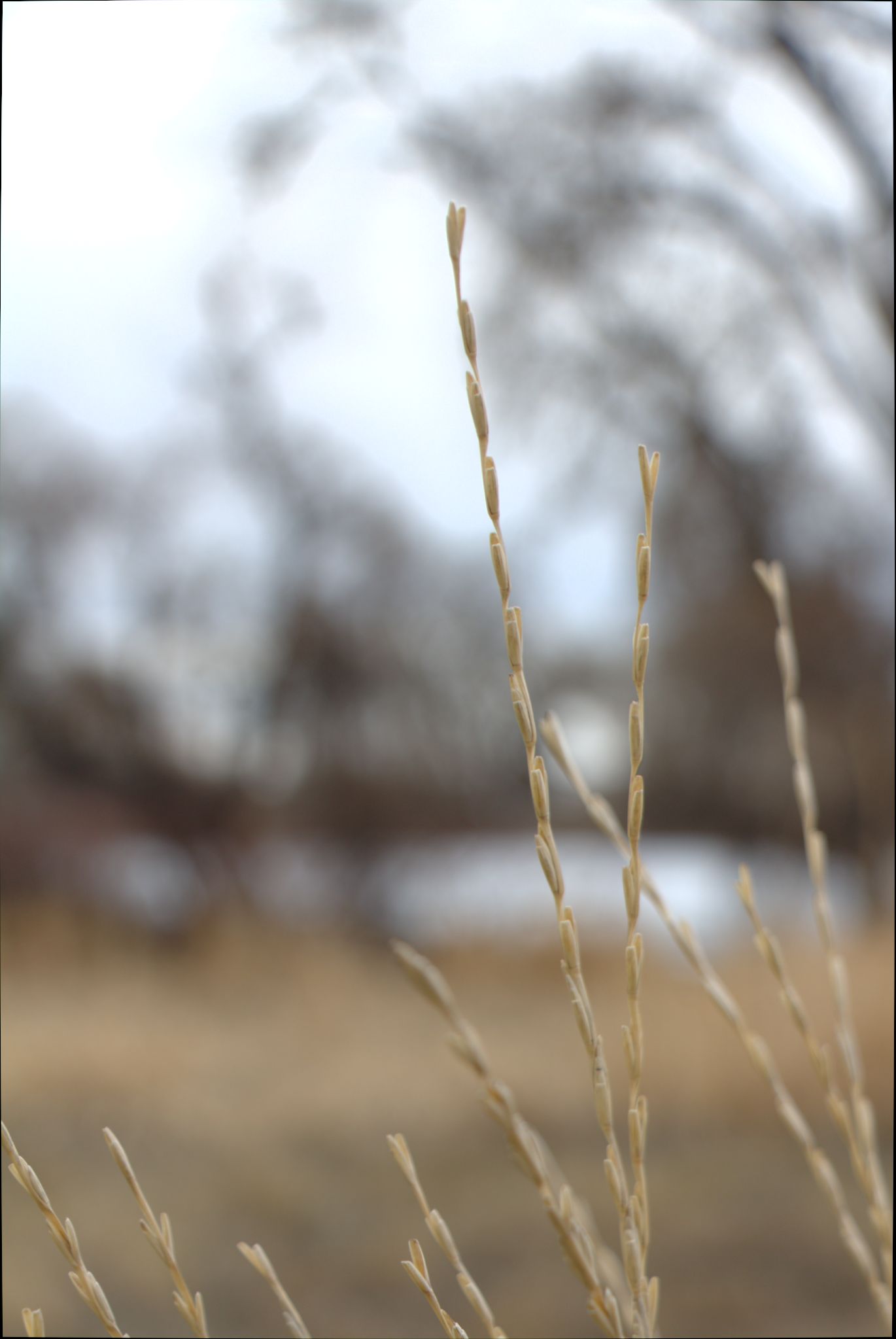 Barr Lake Nature Center