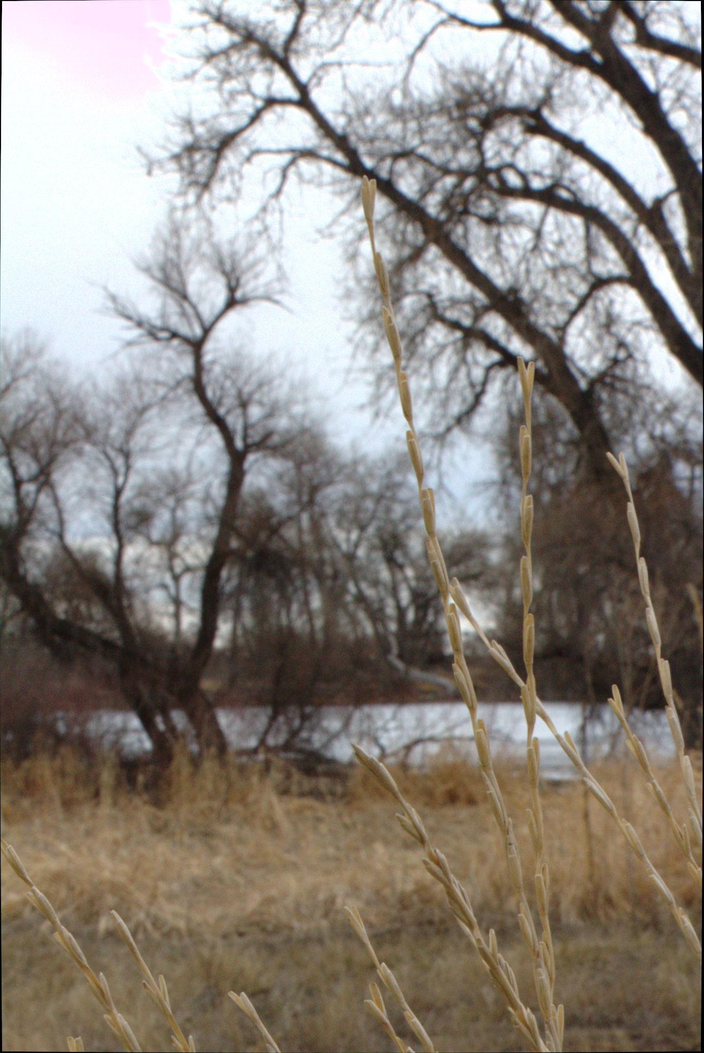 Barr Lake Nature Center