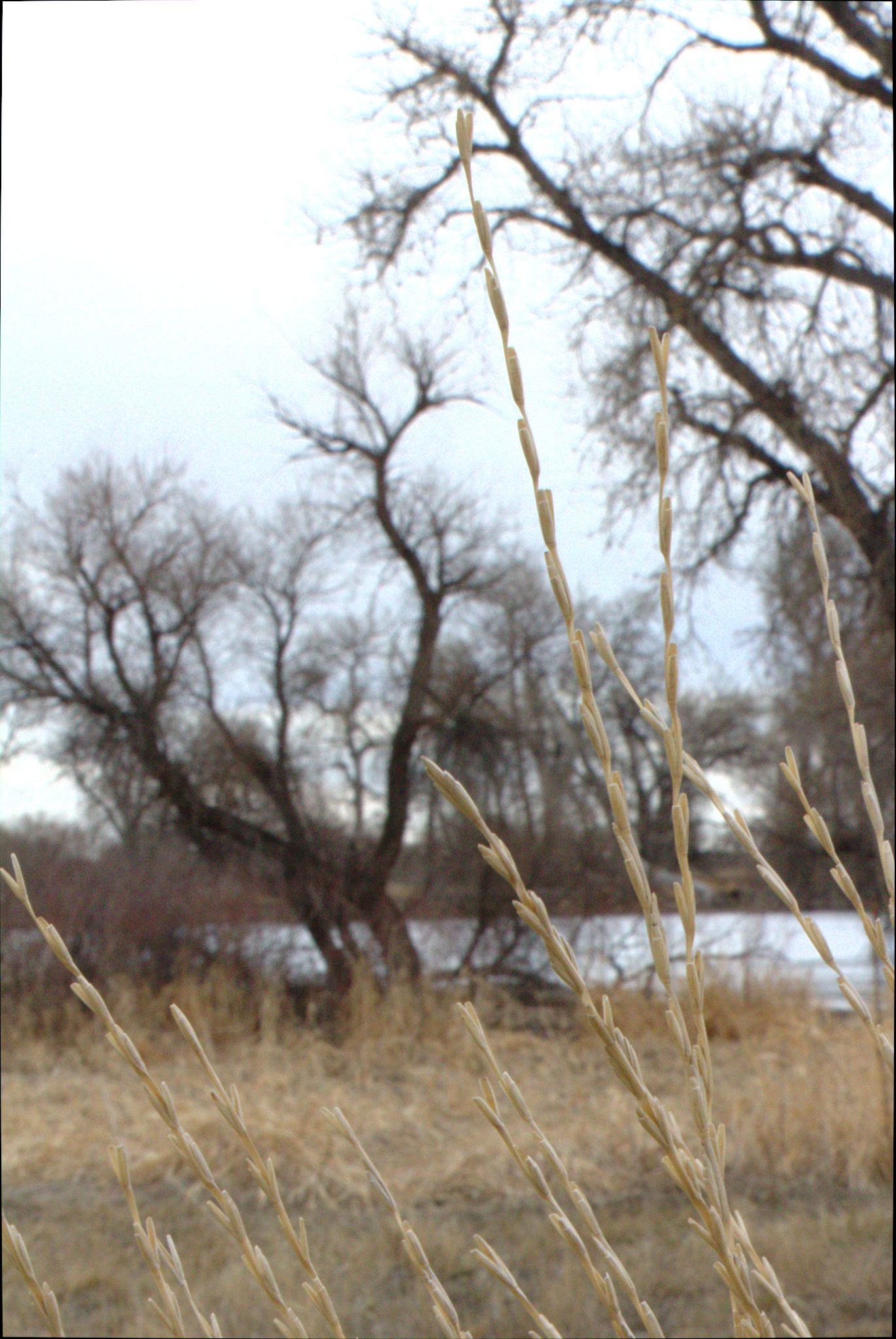 Barr Lake Nature Center