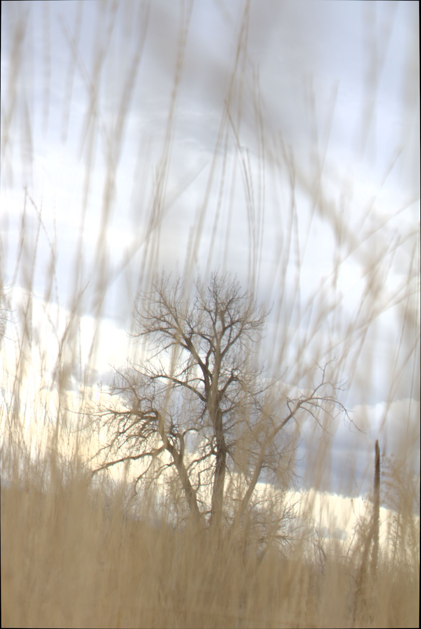 Barr Lake Nature Center