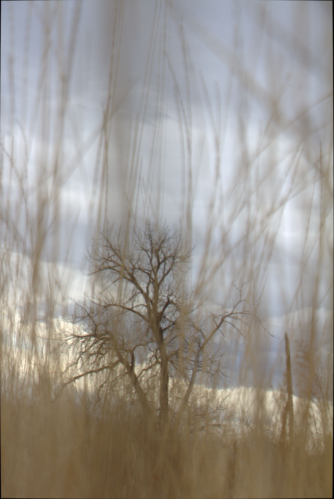 Barr Lake Nature Center