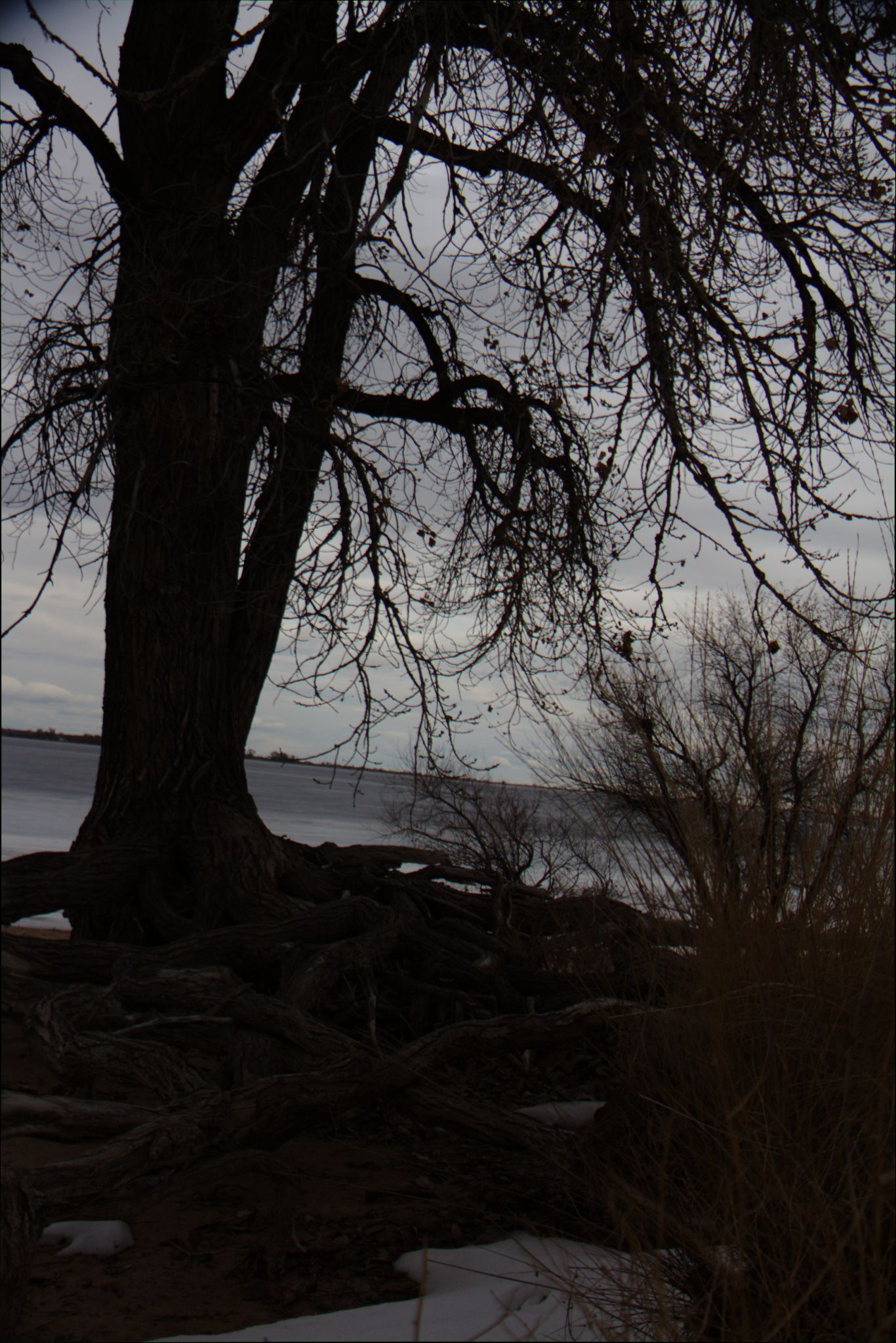 Barr Lake Nature Center