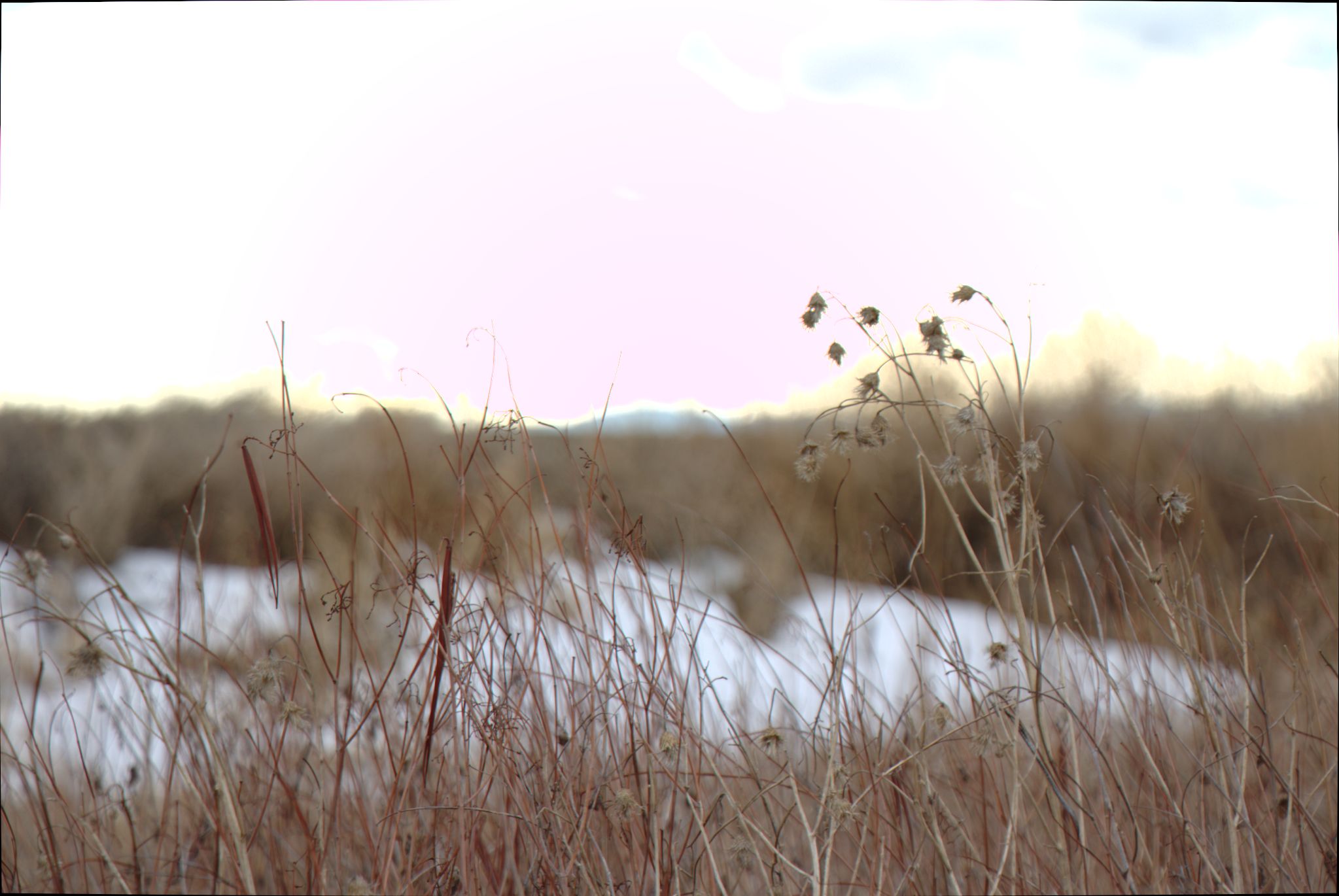 Barr Lake Nature Center