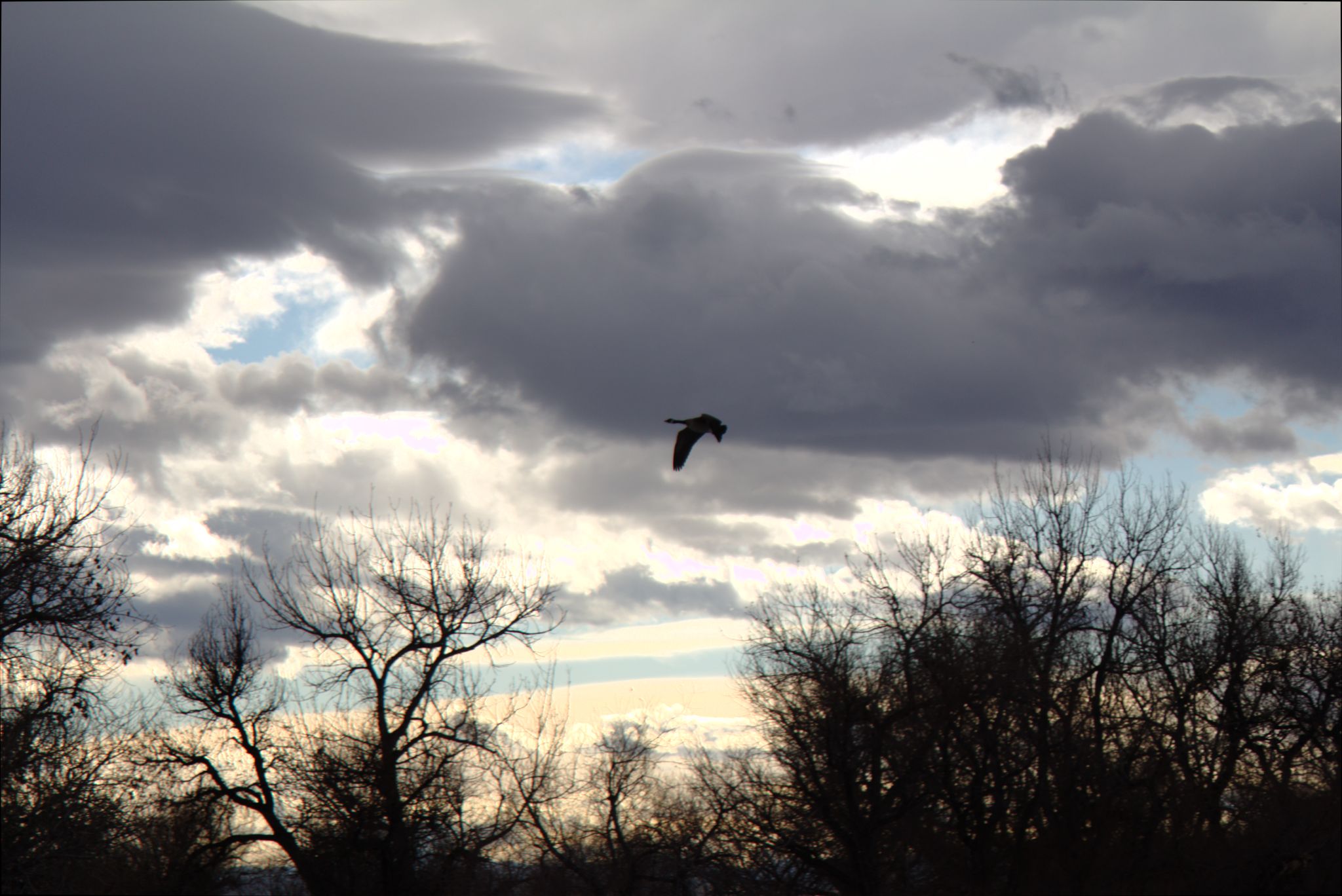 Barr Lake Nature Center